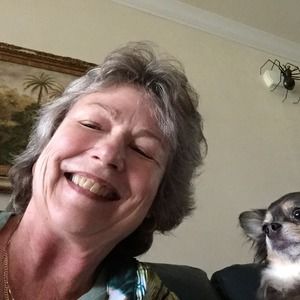 Meet your Posher, Ellen